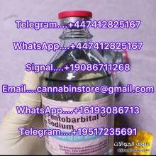 PENTOBARBITAL SODIUM AND PHENYTOIN SODIUM EUTHANASIA SOLUTION, NEMBUTAL POWDER/LIQUID, 6CLADBA, K2 LIQUID AND POWDER. T.